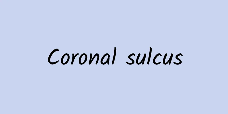 Coronal sulcus