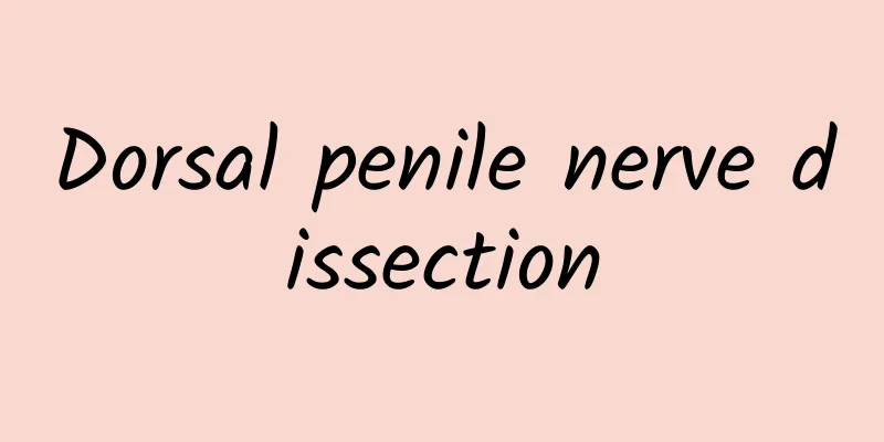Dorsal penile nerve dissection