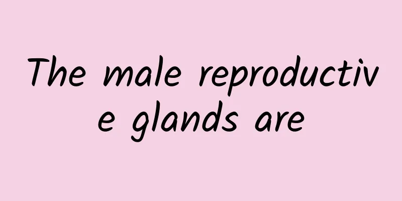 The male reproductive glands are