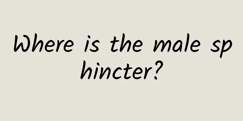 Where is the male sphincter?
