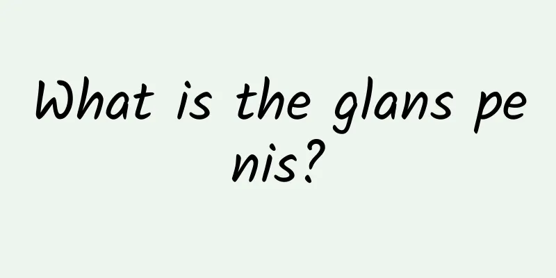 What is the glans penis?