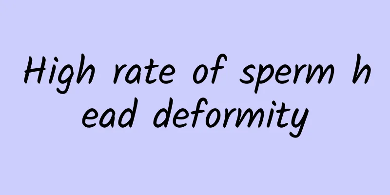 High rate of sperm head deformity