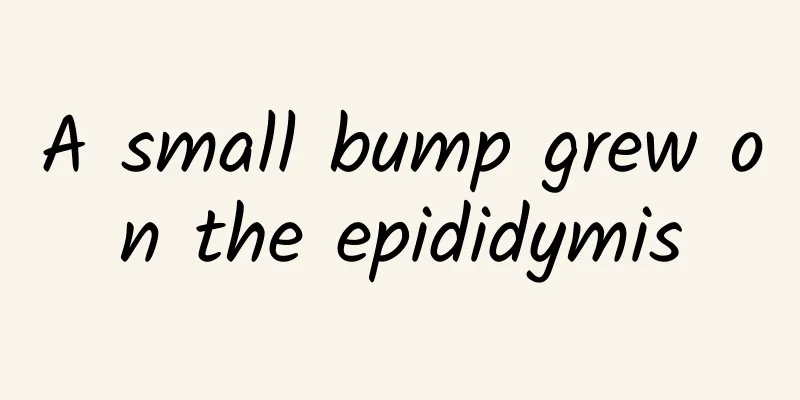 A small bump grew on the epididymis