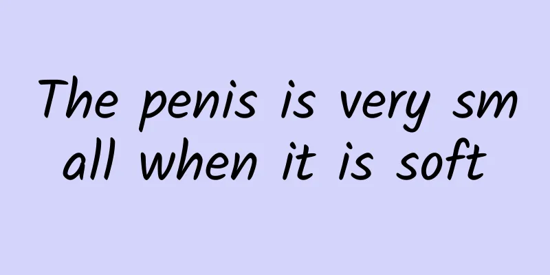 The penis is very small when it is soft