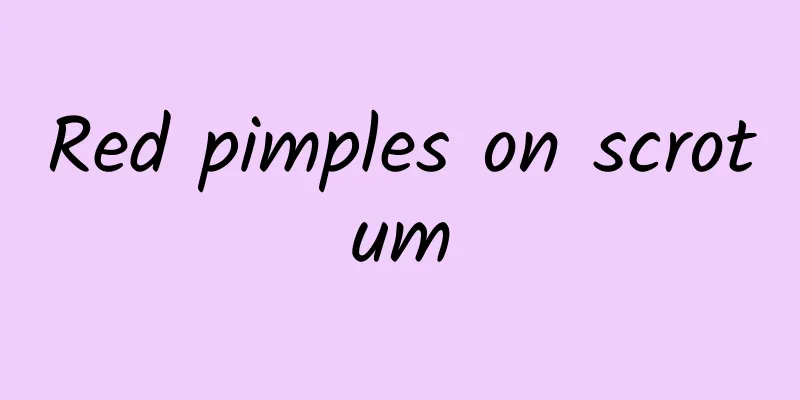 Red pimples on scrotum