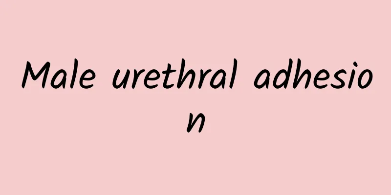 Male urethral adhesion