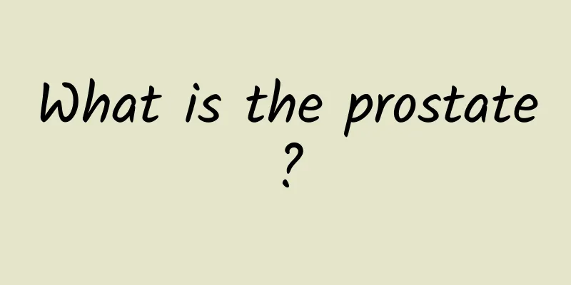 What is the prostate?