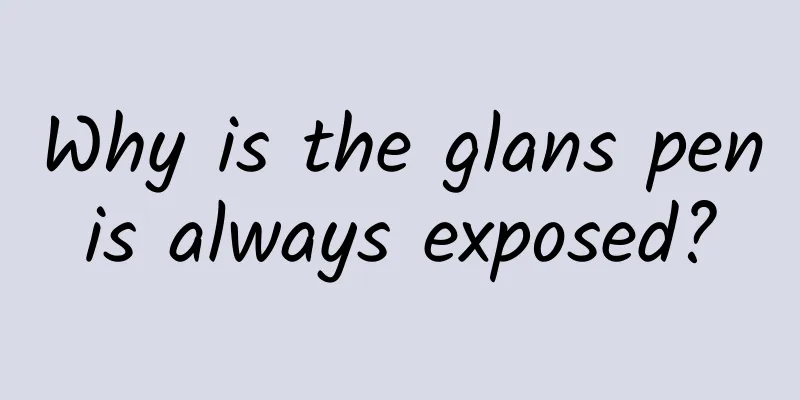 Why is the glans penis always exposed?