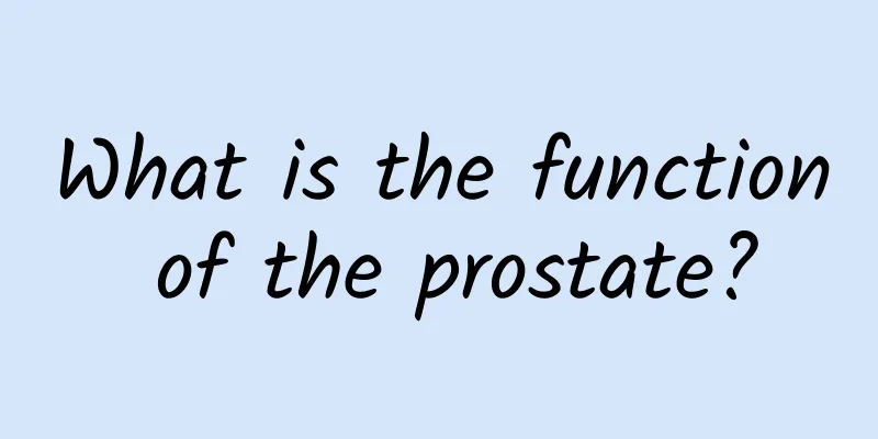 What is the function of the prostate?