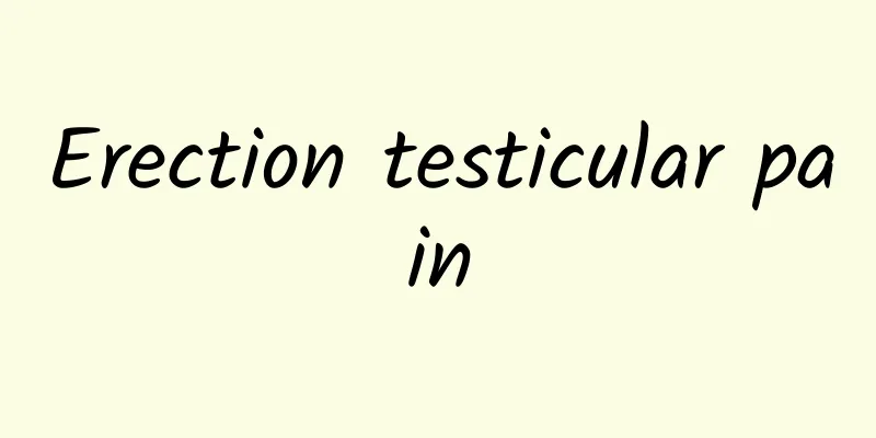 Erection testicular pain