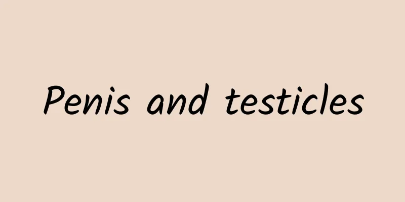Penis and testicles