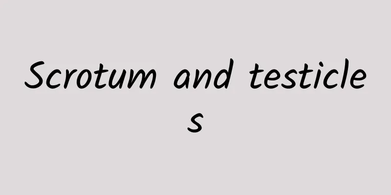 Scrotum and testicles