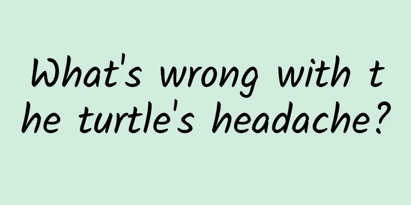 What's wrong with the turtle's headache?