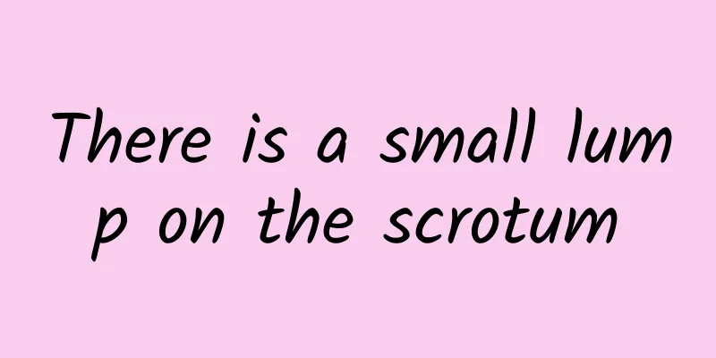 There is a small lump on the scrotum