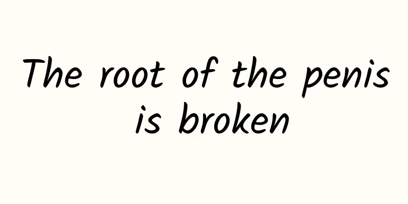 The root of the penis is broken