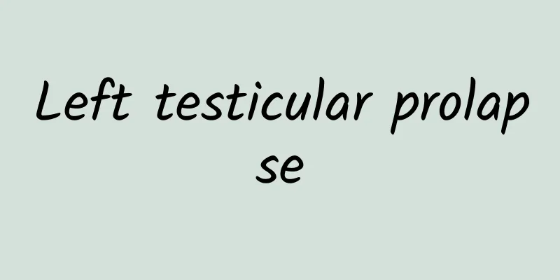 Left testicular prolapse