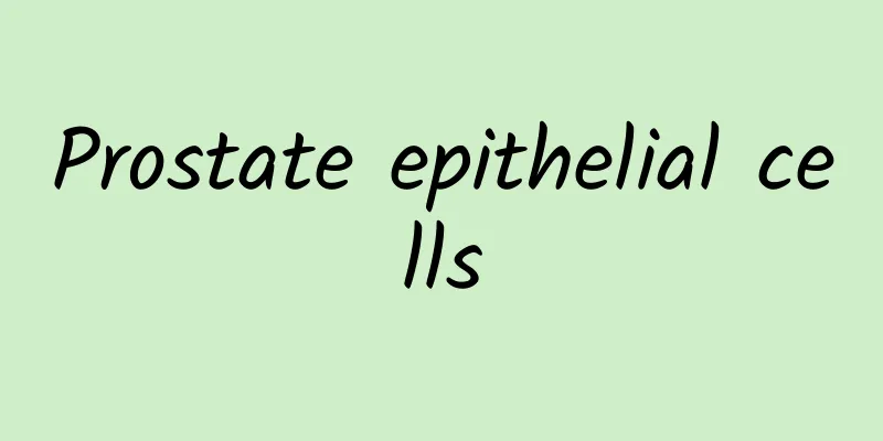 Prostate epithelial cells