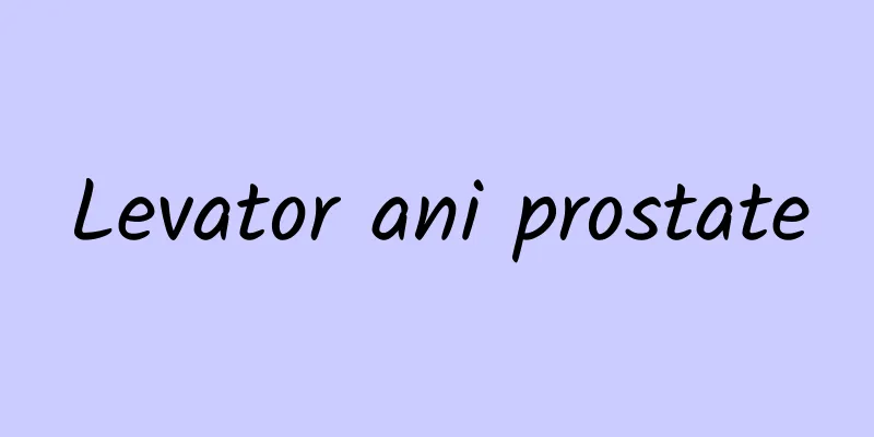 Levator ani prostate