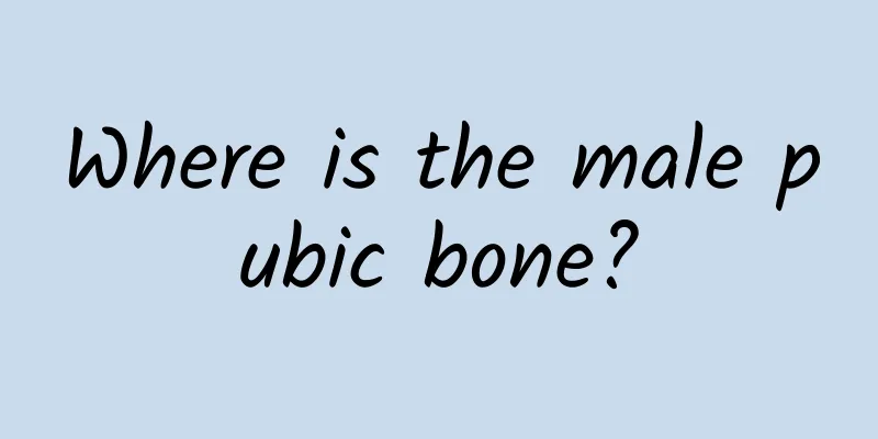 Where is the male pubic bone?