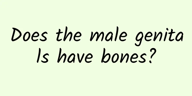 Does the male genitals have bones?