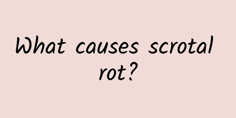 What causes scrotal rot?