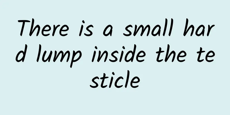 There is a small hard lump inside the testicle