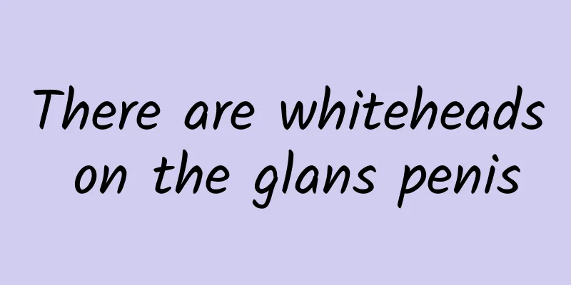 There are whiteheads on the glans penis