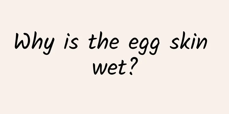 Why is the egg skin wet?