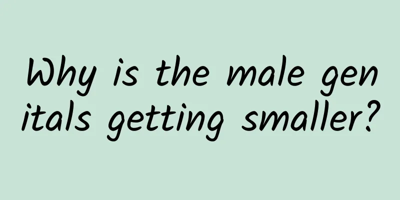 Why is the male genitals getting smaller?