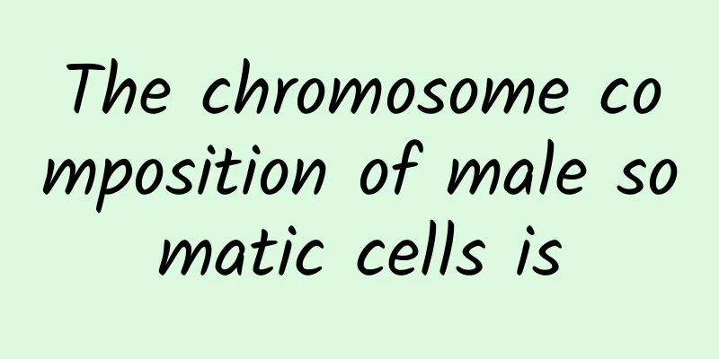 The chromosome composition of male somatic cells is