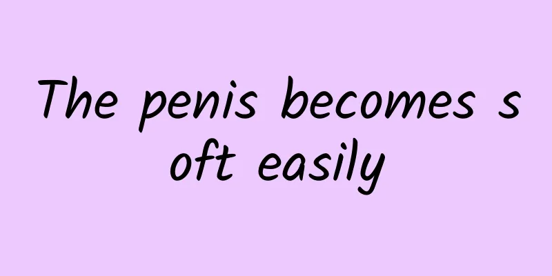 The penis becomes soft easily