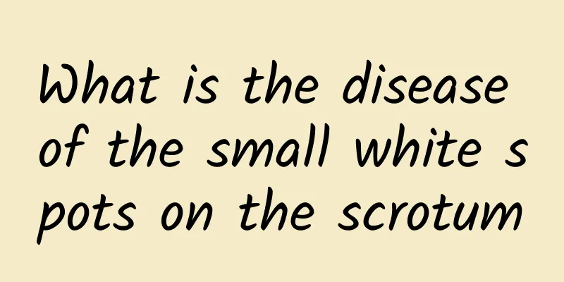 What is the disease of the small white spots on the scrotum