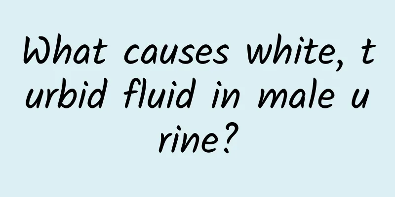 What causes white, turbid fluid in male urine?