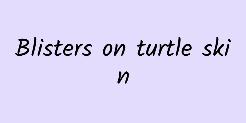 Blisters on turtle skin