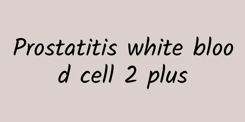 Prostatitis white blood cell 2 plus