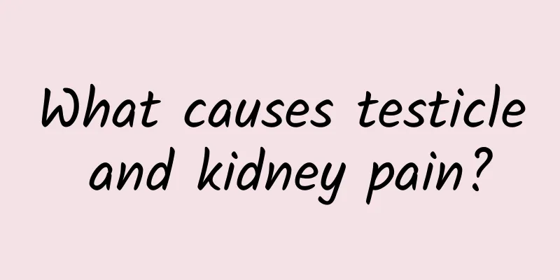 What causes testicle and kidney pain?