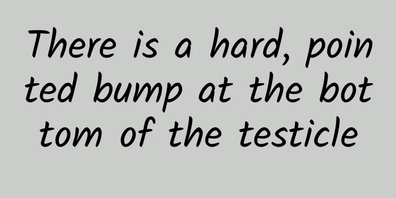 There is a hard, pointed bump at the bottom of the testicle
