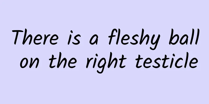 There is a fleshy ball on the right testicle