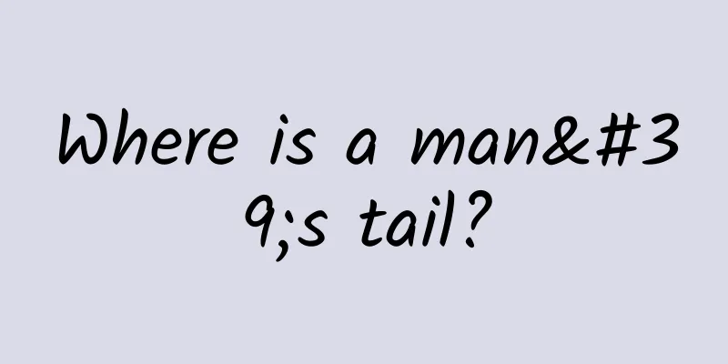 Where is a man's tail?