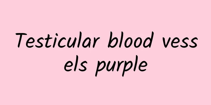 Testicular blood vessels purple