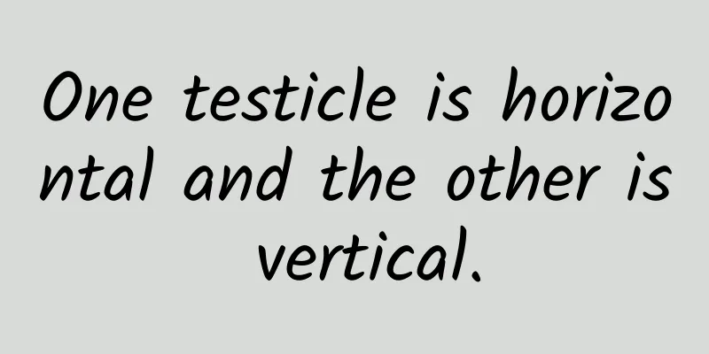 One testicle is horizontal and the other is vertical.