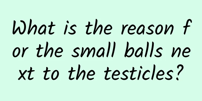 What is the reason for the small balls next to the testicles?