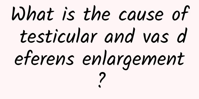 What is the cause of testicular and vas deferens enlargement?