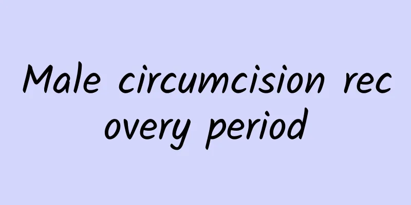 Male circumcision recovery period