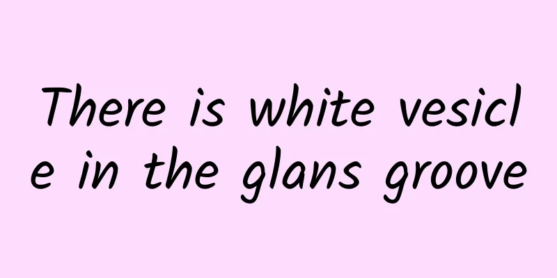 There is white vesicle in the glans groove
