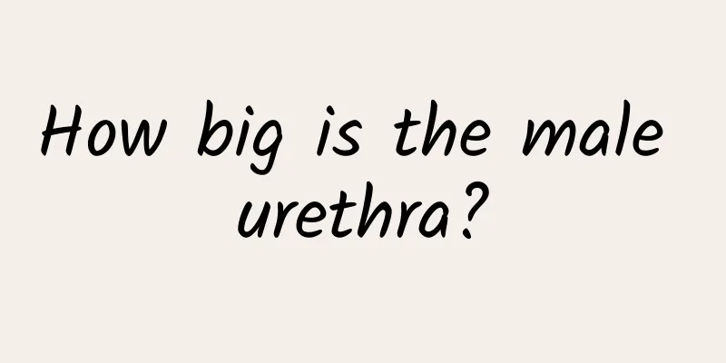 How big is the male urethra?