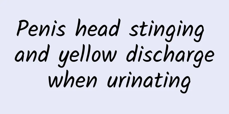 Penis head stinging and yellow discharge when urinating