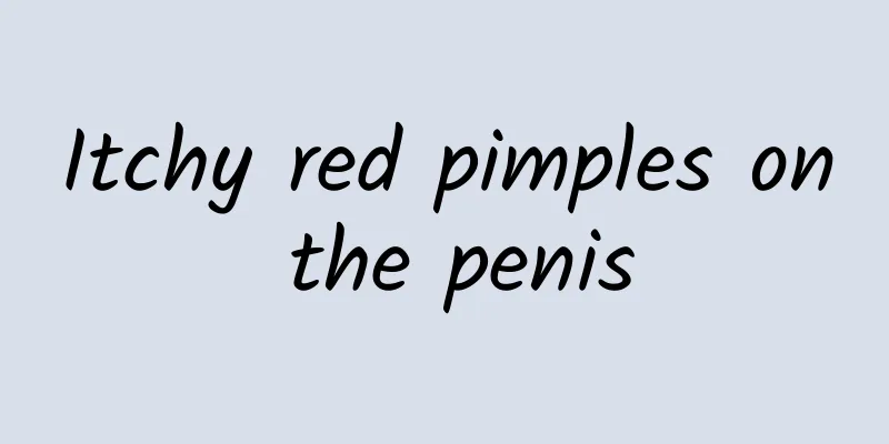Itchy red pimples on the penis