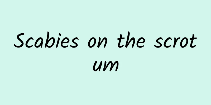 Scabies on the scrotum