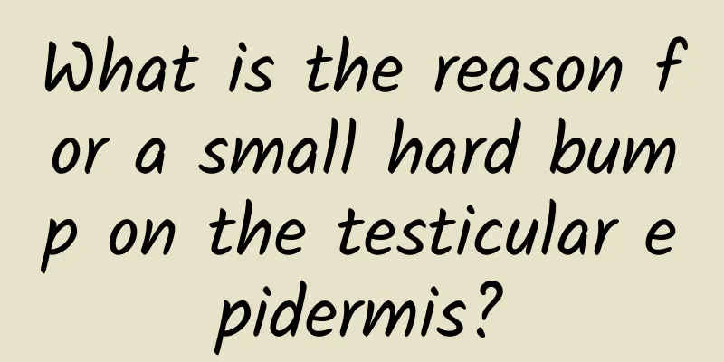 What is the reason for a small hard bump on the testicular epidermis?